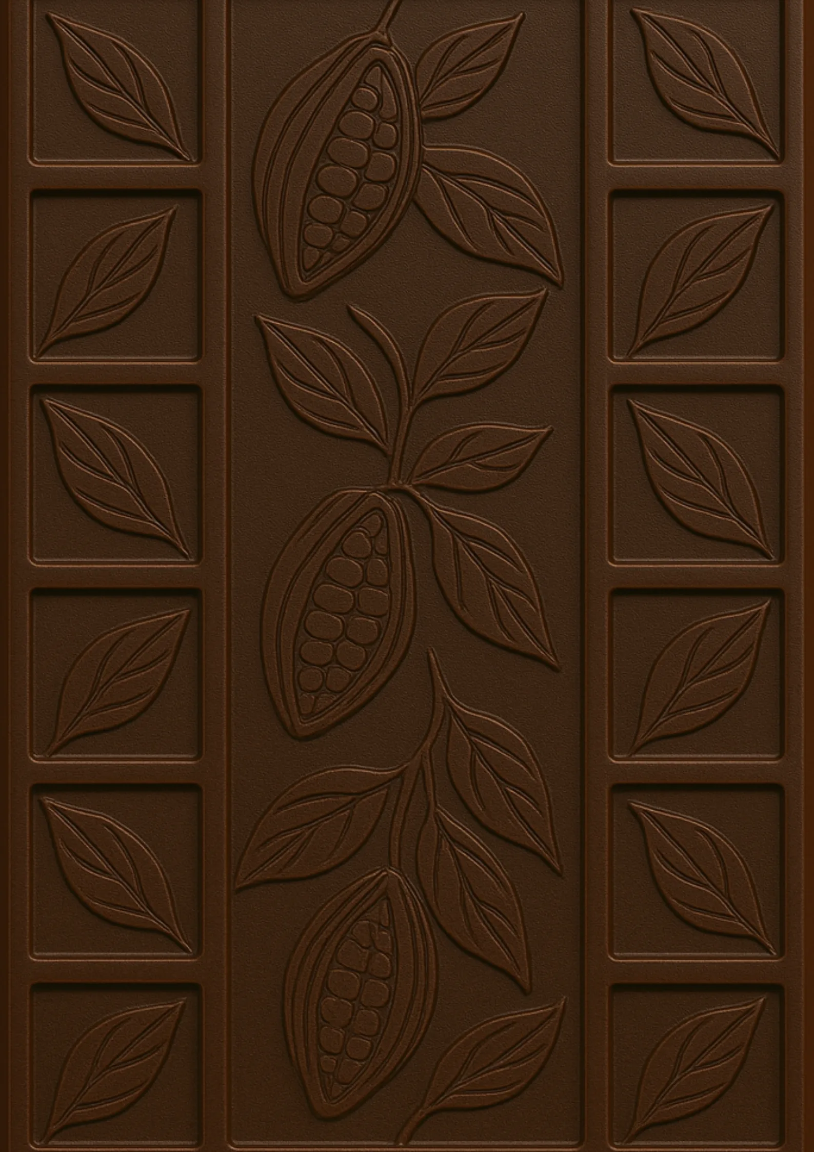 Petra Chocolate — Creative Direction